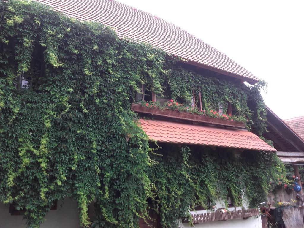 Rural Tourism Family Ravlic Guest House Muzilovcica ภายนอก รูปภาพ