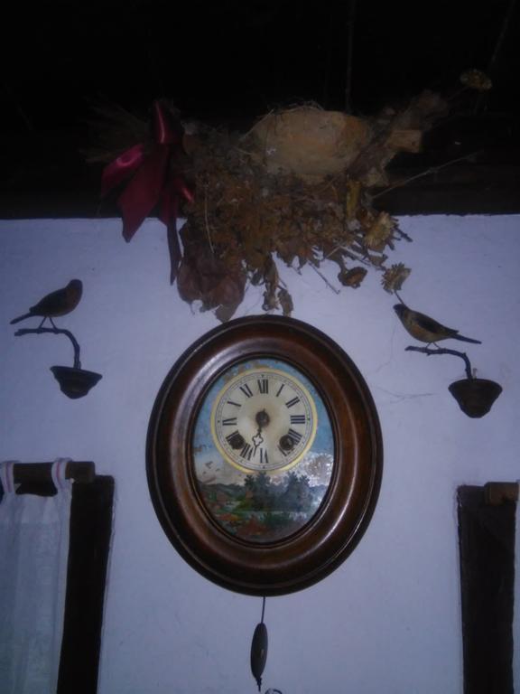 Rural Tourism Family Ravlic Guest House Muzilovcica ภายนอก รูปภาพ