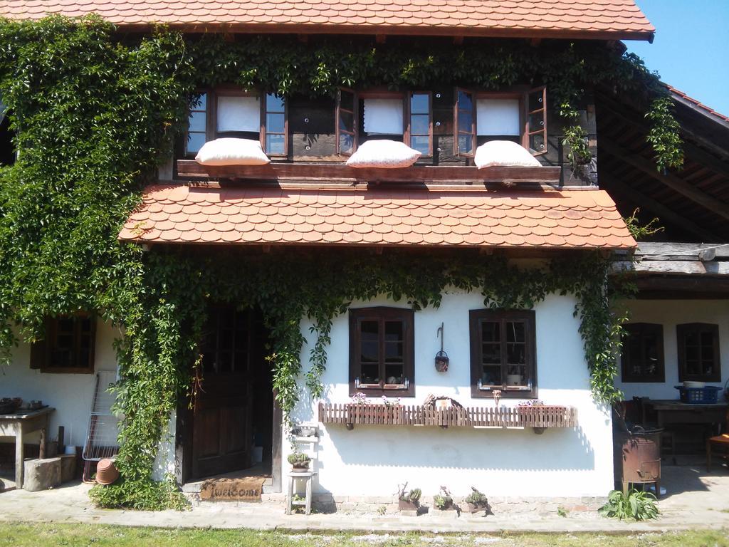 Rural Tourism Family Ravlic Guest House Muzilovcica ภายนอก รูปภาพ